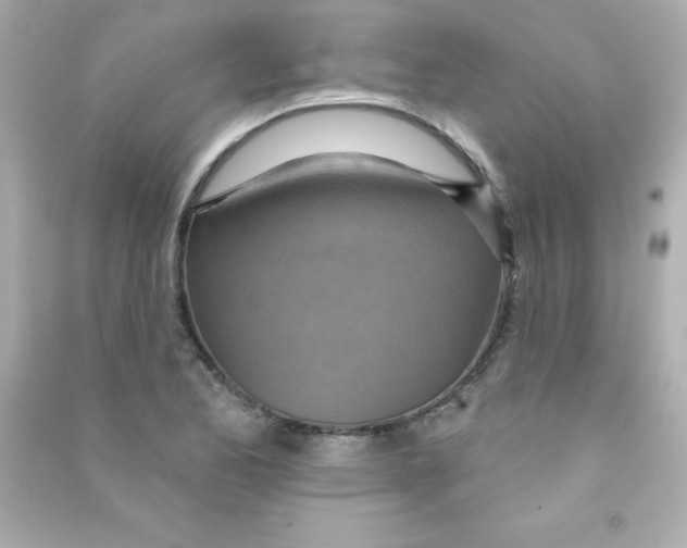 X0000090501173200708102234