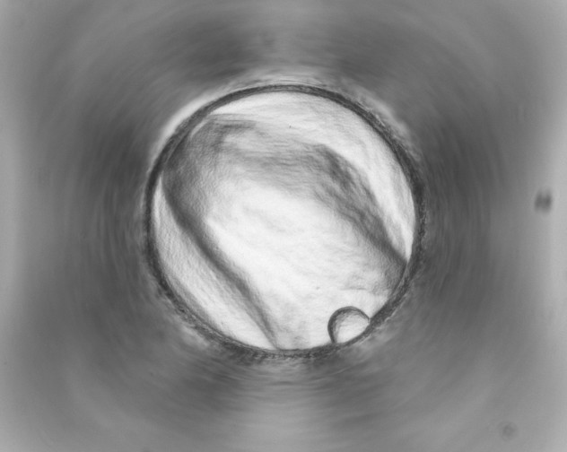 X0000090501174200708102234