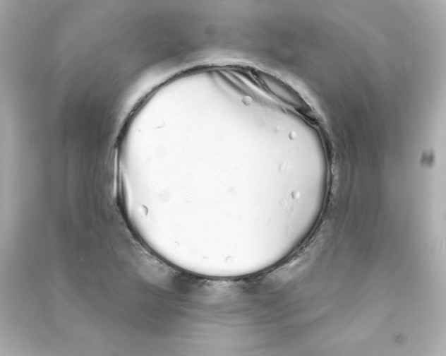 X0000090501175200708102234