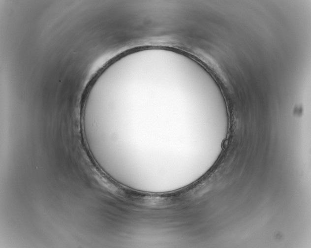 X0000090501176200708102234