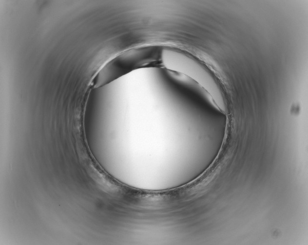 X0000090501177200708102234