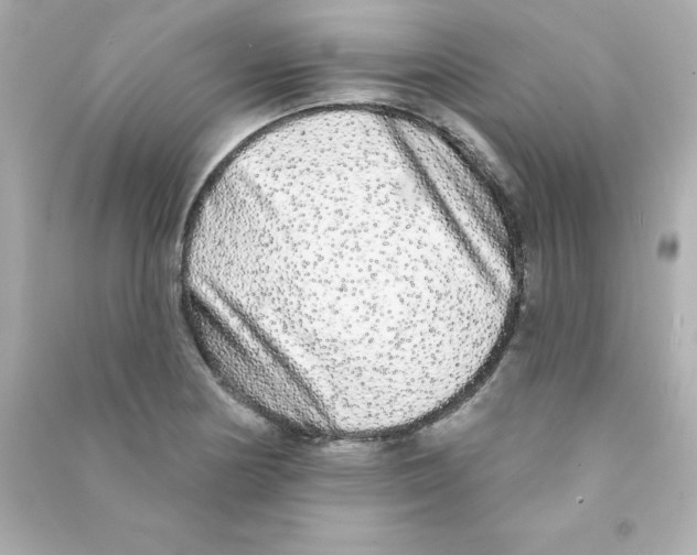 X0000090501178200708102234