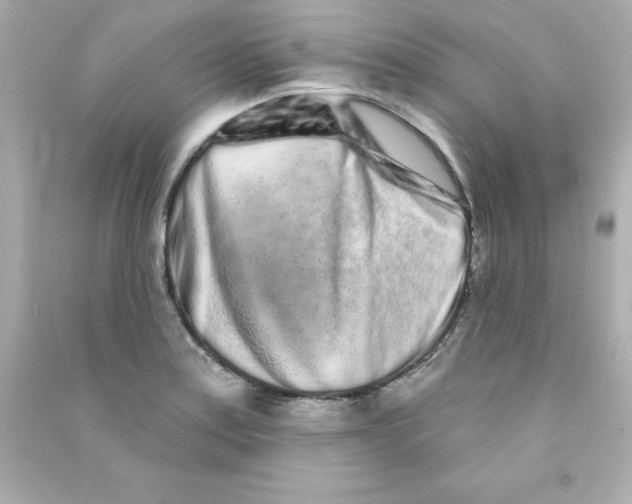 X0000090501179200708102234