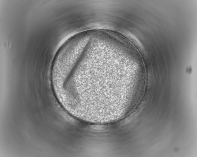 X0000090501182200708102234