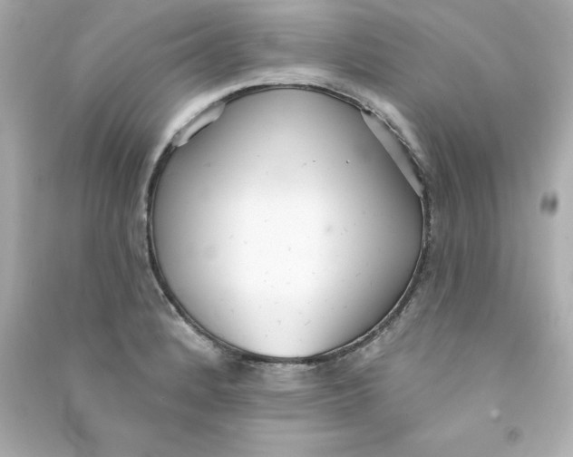 X0000090501184200708102234