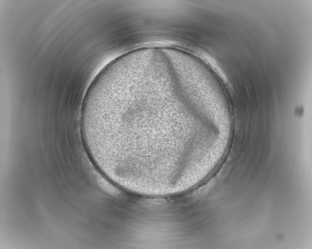 X0000090501186200708102234