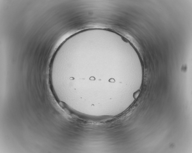 X0000090501187200708102234