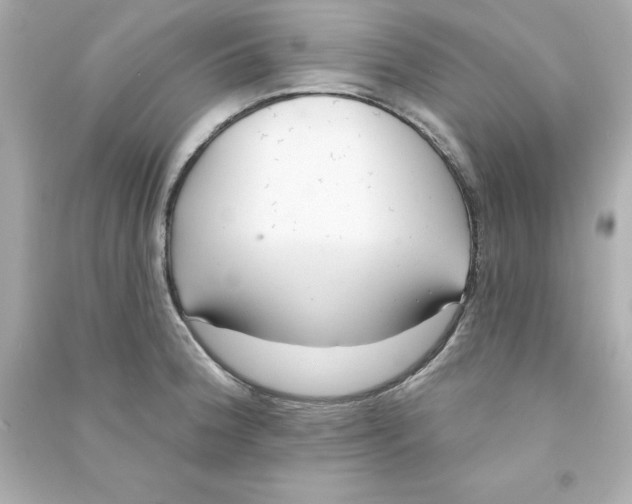 X0000090501188200708102234