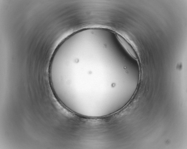 X0000090501189200708102234