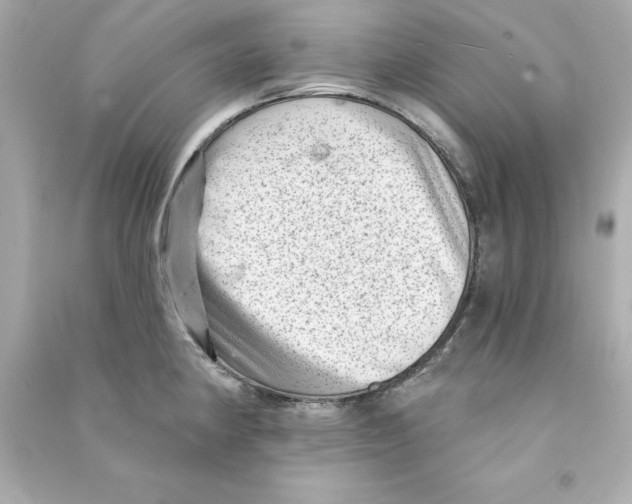 X0000090501190200708102234