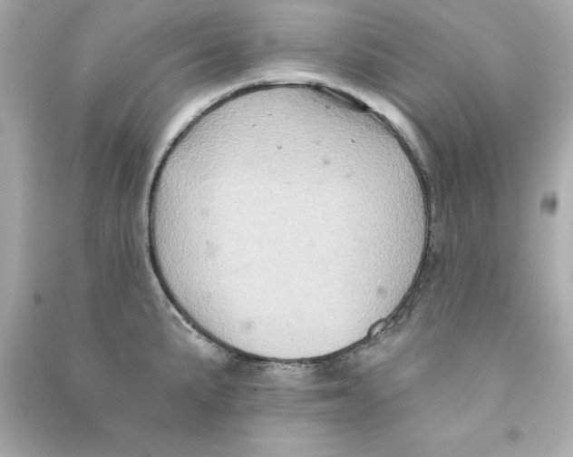 X0000090501191200708102234