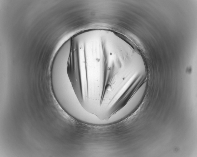 X0000090501192200708102234