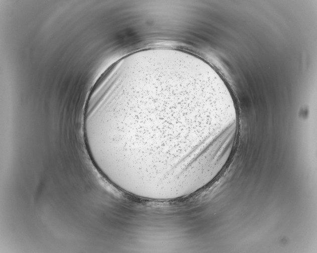 X0000090501194200708102234