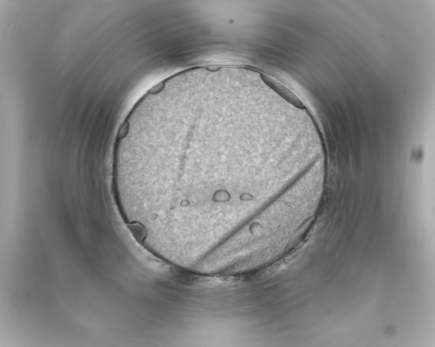 X0000090501195200708102234