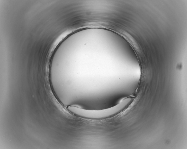 X0000090501196200708102234