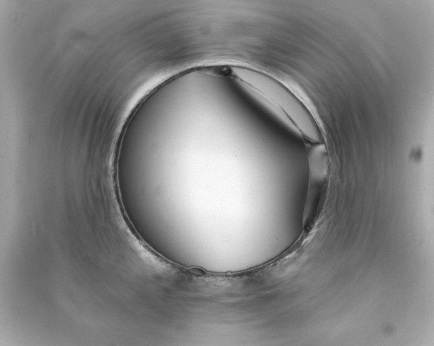 X0000090501197200708102234