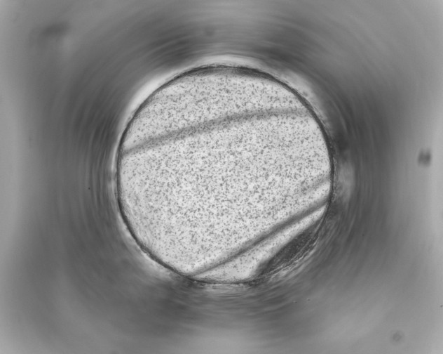 X0000090501199200708102234