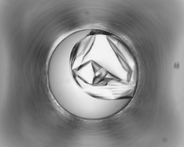 X0000090501200200708102234