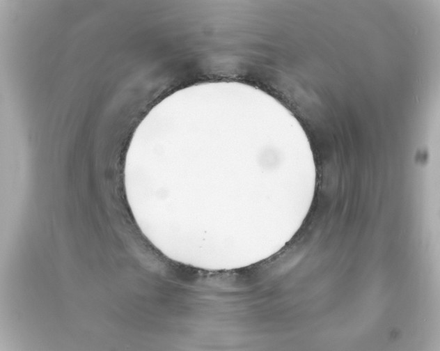 X0000090501201200708102233