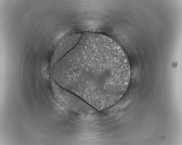 X0000090501202200708102233