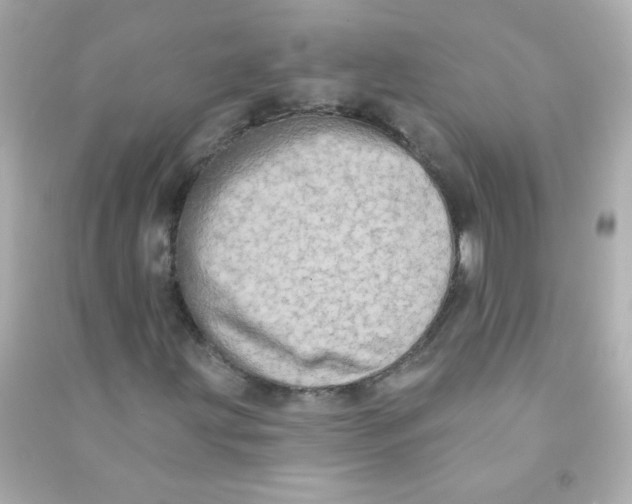 X0000090501203200708102233