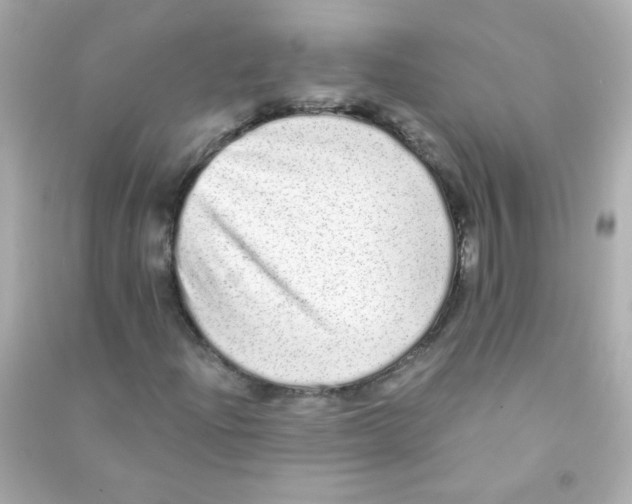 X0000090501204200708102233