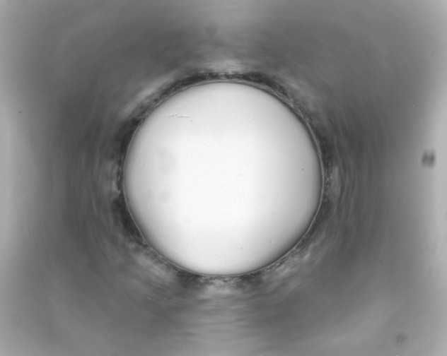 X0000090501205200708102233