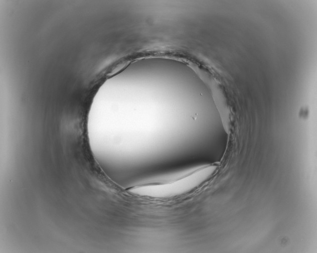 X0000090501206200708102233