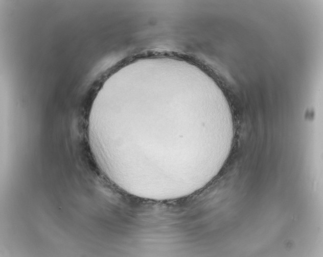 X0000090501207200708102233