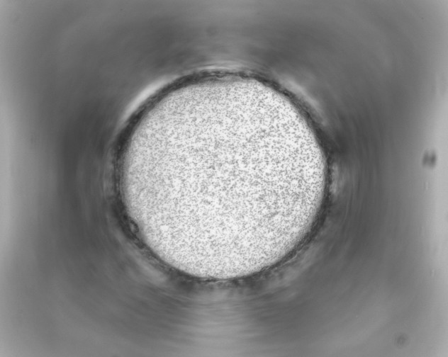 X0000090501208200708102233