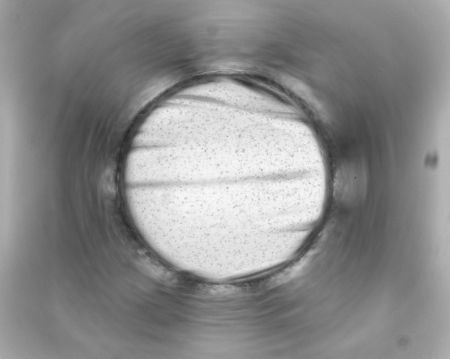 X0000090501209200708102233