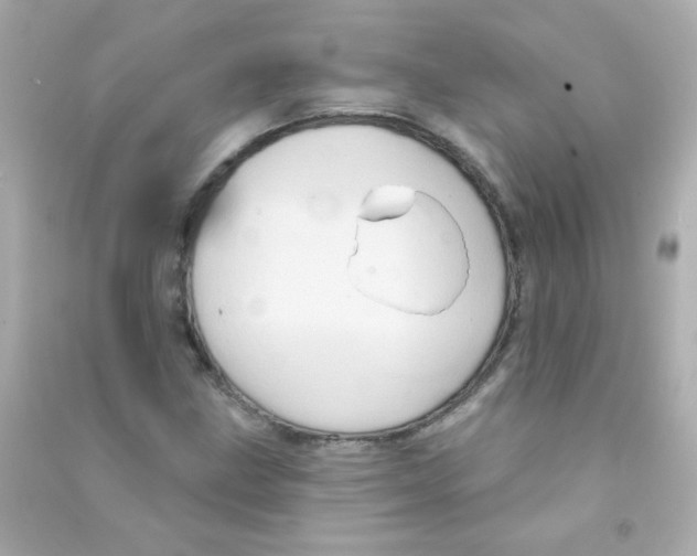 X0000090501211200708102233