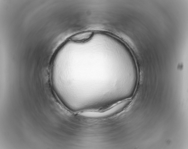 X0000090501212200708102233