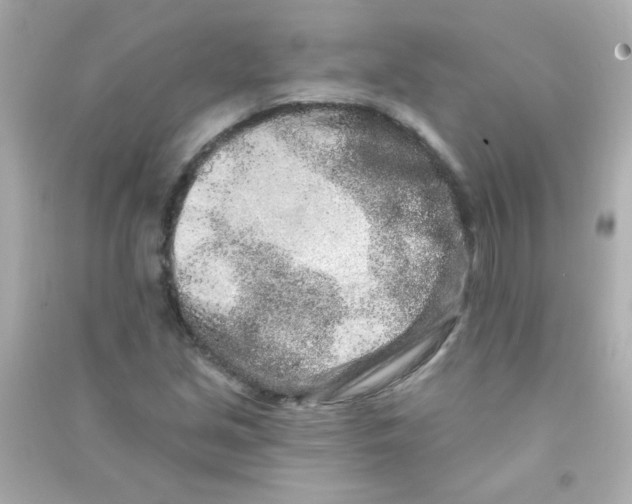 X0000090501213200708102233