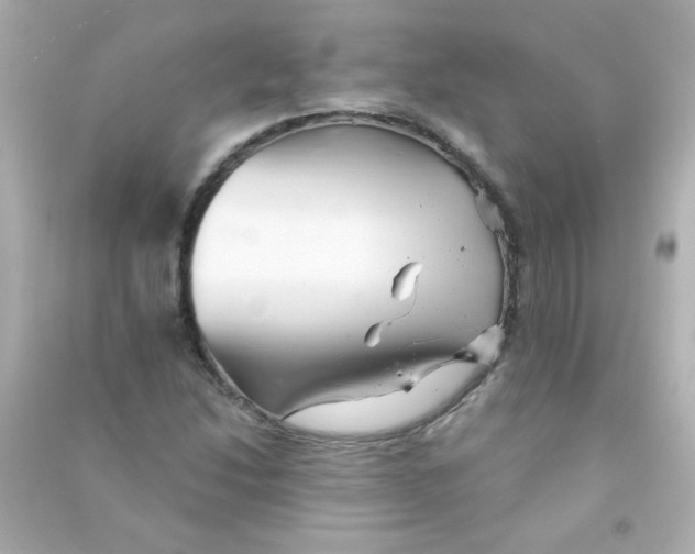 X0000090501214200708102233