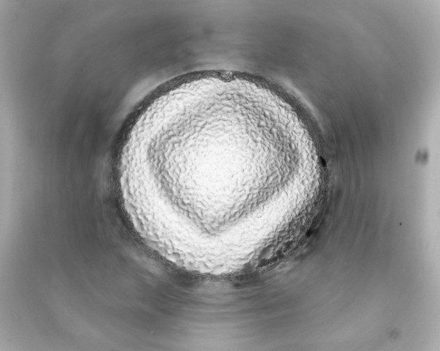 X0000090501215200708102233