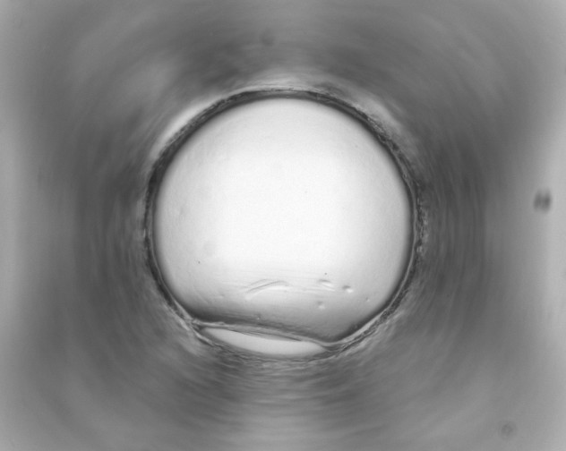 X0000090501216200708102233