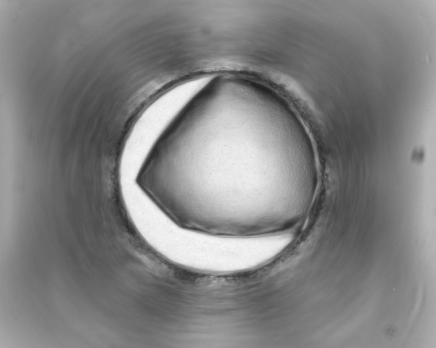 X0000090501217200708102233