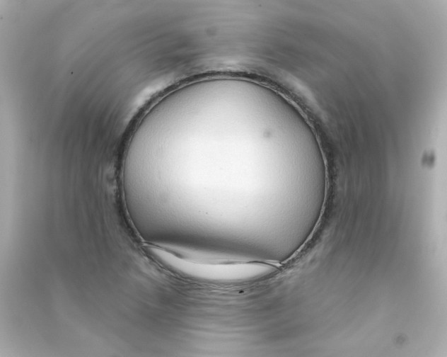 X0000090501218200708102233