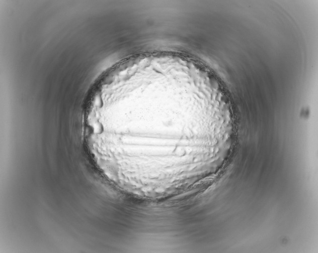 X0000090501219200708102233