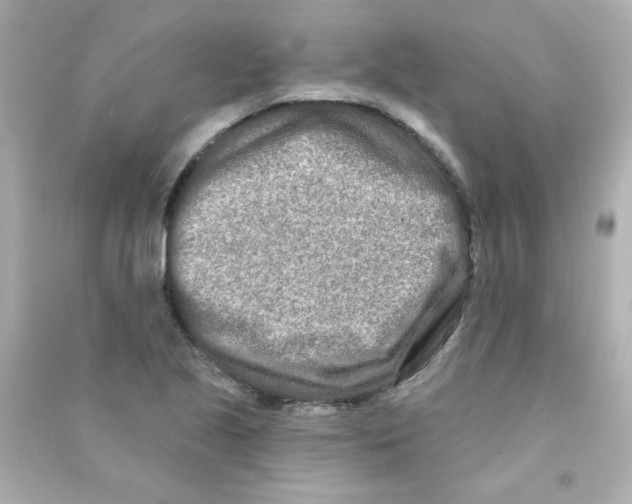 X0000090501221200708102233