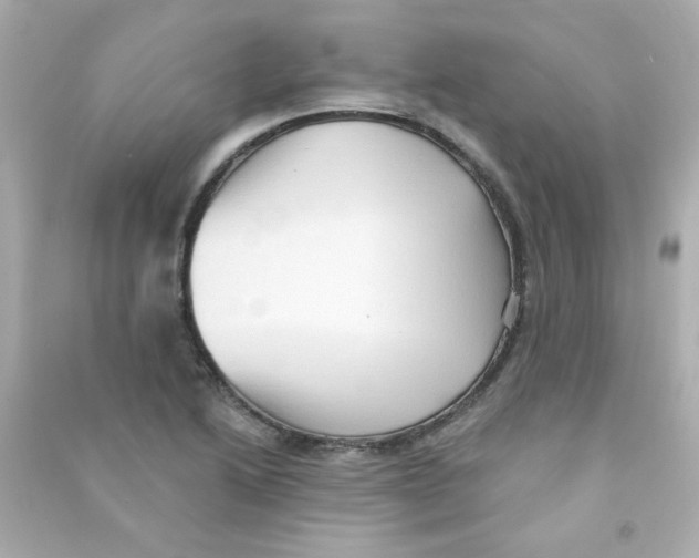 X0000090501222200708102233