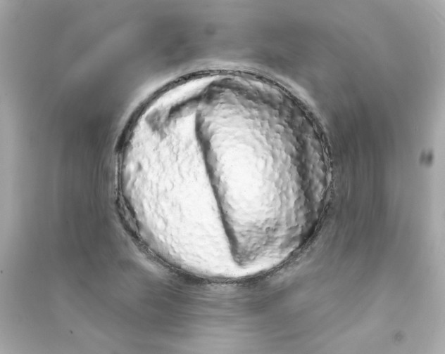 X0000090501223200708102233