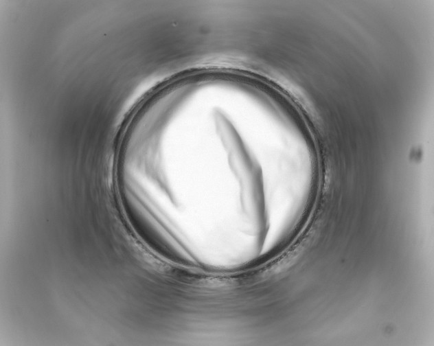 X0000090501224200708102233