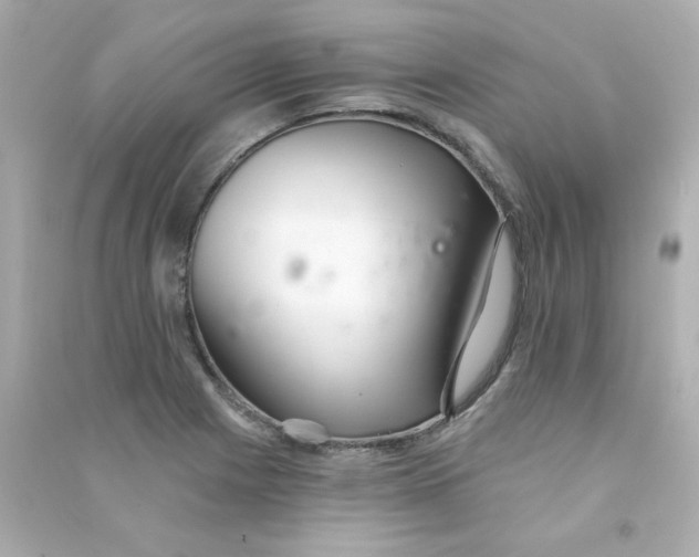 X0000090501225200708102233