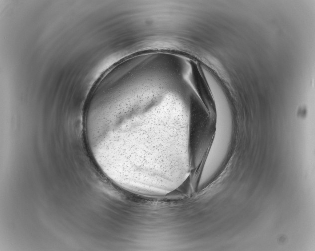 X0000090501226200708102233