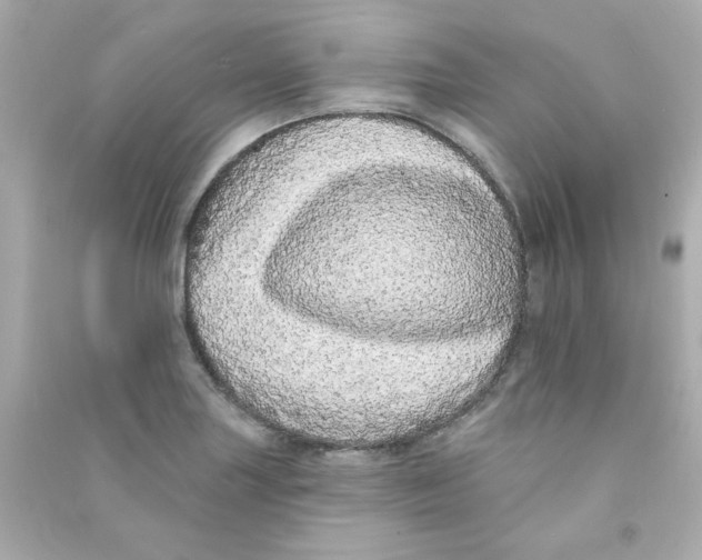 X0000090501227200708102233