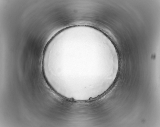 X0000090501228200708102233