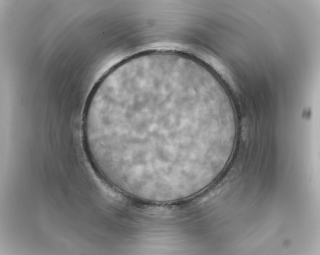 X0000090501229200708102233