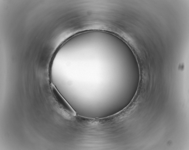 X0000090501230200708102233